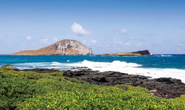 叫你的季节从账号开始